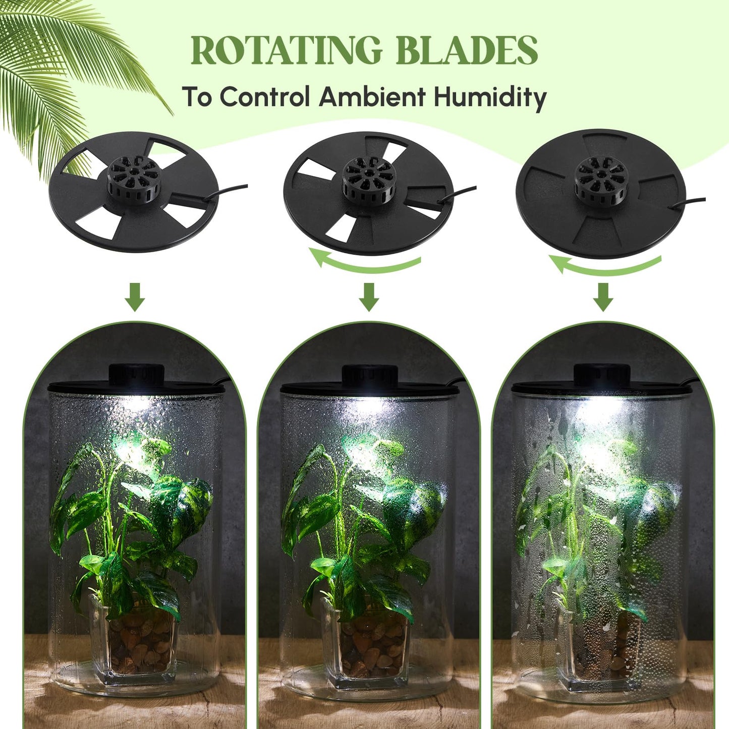 Maxdot Glass Plant Terrarium Kit with Light for Succulent, Moss, Miniature Gardening Landscape, Betta Fish Tank, Office Home Decoration, Plant Lovers Gifts(9.8 x 5.9 Inch)