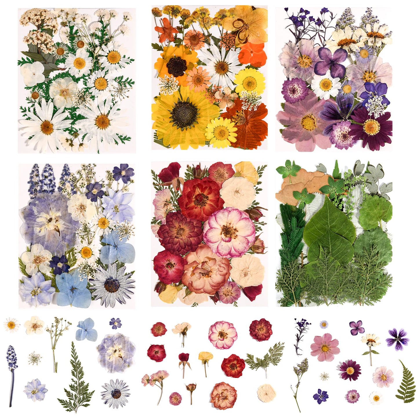 nisetten 6 Pack 150PCS Real Pressed Dried Flowers Dry Leaves Craft Kit - Natural Dried Flowers for DIY Crafts, Resin Jewelry, Cards, Soap, CandleMaking, Nail Art, and Scrapbooking (Colorful)