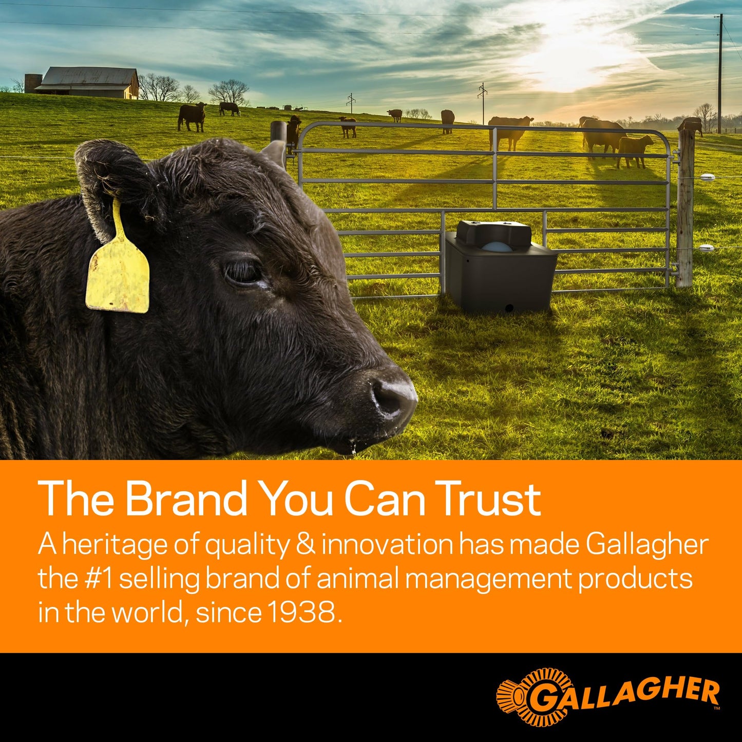 Gallagher B60 Battery Fence Energizer | 0.6 Joule Portable Electric Fence Charger for Livestock & Temporary Fencing | 12V Battery Powered | Powers Up to 15 Miles