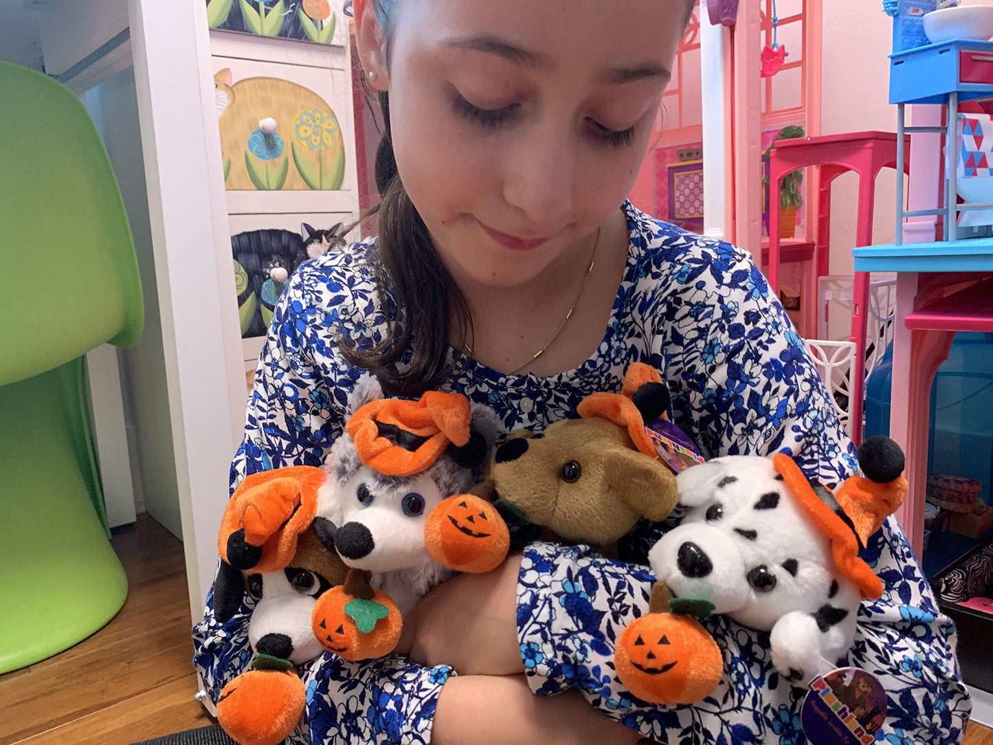 Plushland Halloween Pawpals 8 inches Puppy Dog Plush Stuffed Toy Comes with Hat and Jack O Lantern - Pumpkin for Kids on This Holiday (Halloween Dog Assortment)