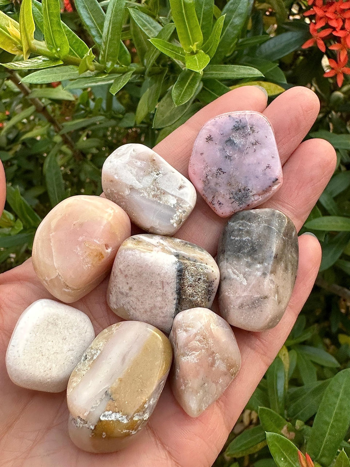 GAF TREASURES 5 Pcs Pink Opal Tumbled Stones, Polished Pink Opal Gemstone, Pink Opal Healing Crystals (Pink Opal)