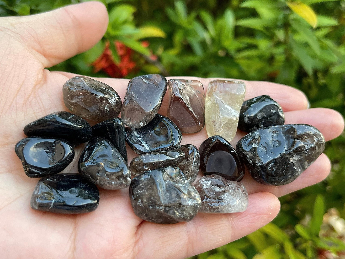 GAF TREASURES 5 Pcs Smoky Quartz Tumbled Stones, Polished Smoky Quartz Gemstone, Smoky Quartz Healing Crystals (Smoky Quartz)