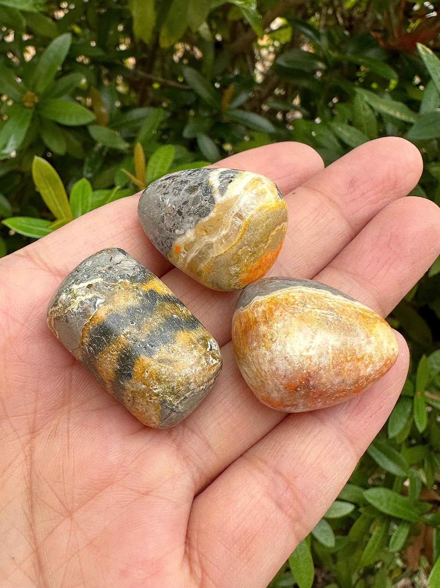 GAF TREASURES 5 Pcs Bumble Bee Jasper Tumbled Stones, Polished Bumble Bee Jasper Gemstone, Bumble Bee Jasper Healing Crystals (Bumble Bee Jasper)