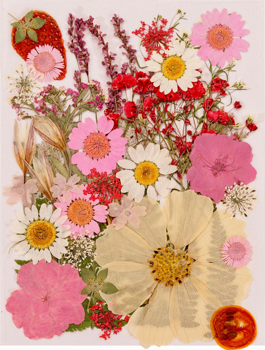 48 Pcs Real Dried Pressed Flowers Bulk Kit - Vacuum Packed Natural Petals for Resin Jewelry，DIY Candle/Soap/Photo Frame/Scrapbook Craft Making, Art Decorations (Colorful Style) (Peach Pink)