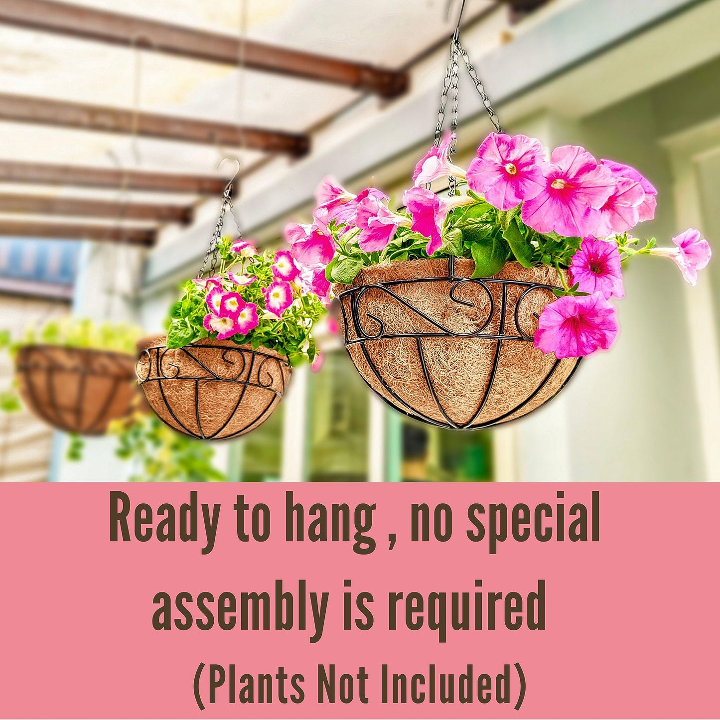 LaLaGreen Hanging Planter for Outdoor Plants (10 Inch, 2 Pack) Hanging Baskets with Coco Liner, Black Metal Wire Flower Basket Pots with Hook Hanger Balcony Porch Farmhouse Country Style Garden Decor