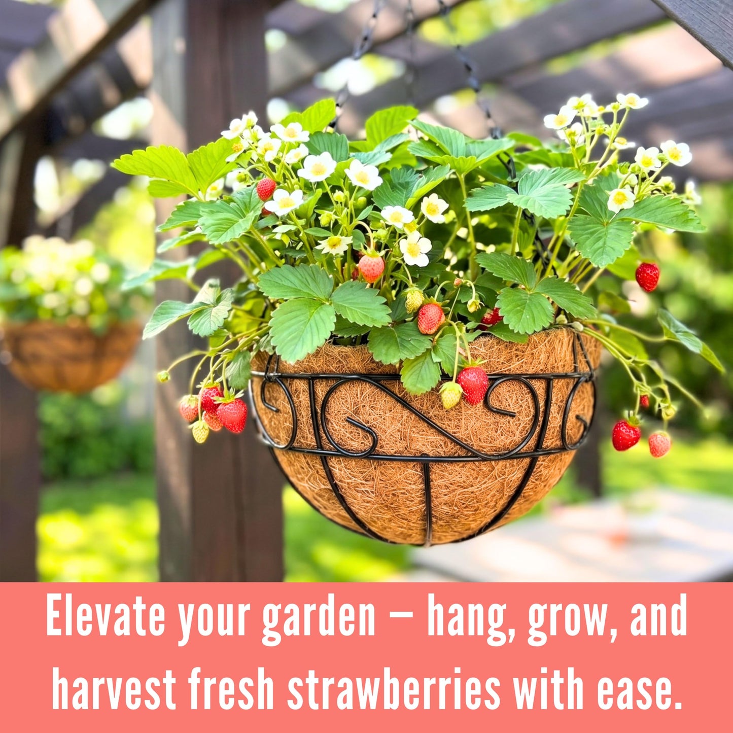LaLaGreen Hanging Planter for Outdoor Plants (10 Inch, 2 Pack) Hanging Baskets with Coco Liner, Black Metal Wire Flower Basket Pots with Hook Hanger Balcony Porch Farmhouse Country Style Garden Decor