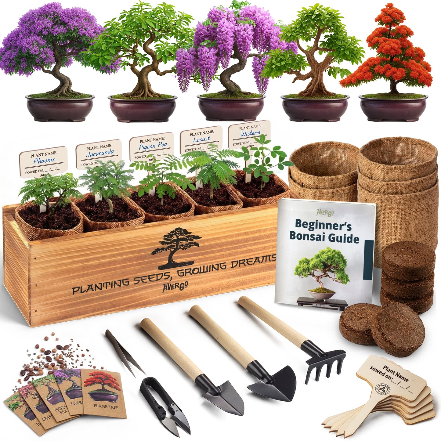 AVERGO Bonsai Tree Kit Deluxe - 5X Unique Japanese Bonzai Trees | Complete Indoor Bonsai Starter Kits from Seeds to Trees – DIY Gardening Gifts for Mother, Women & Men