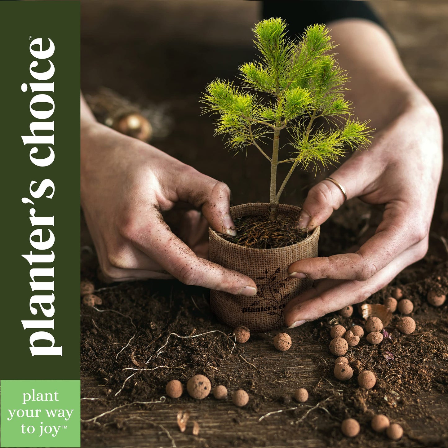 Bonsai Starter Kit - Gardening Birthday Gifts for Women & Men - Bonsai Tree Growing Garden Crafts Hobby Kits for Adults, Unique DIY Hobbies for Plant Lovers - Unusual Gifts Ideas Mom, Her, Friend