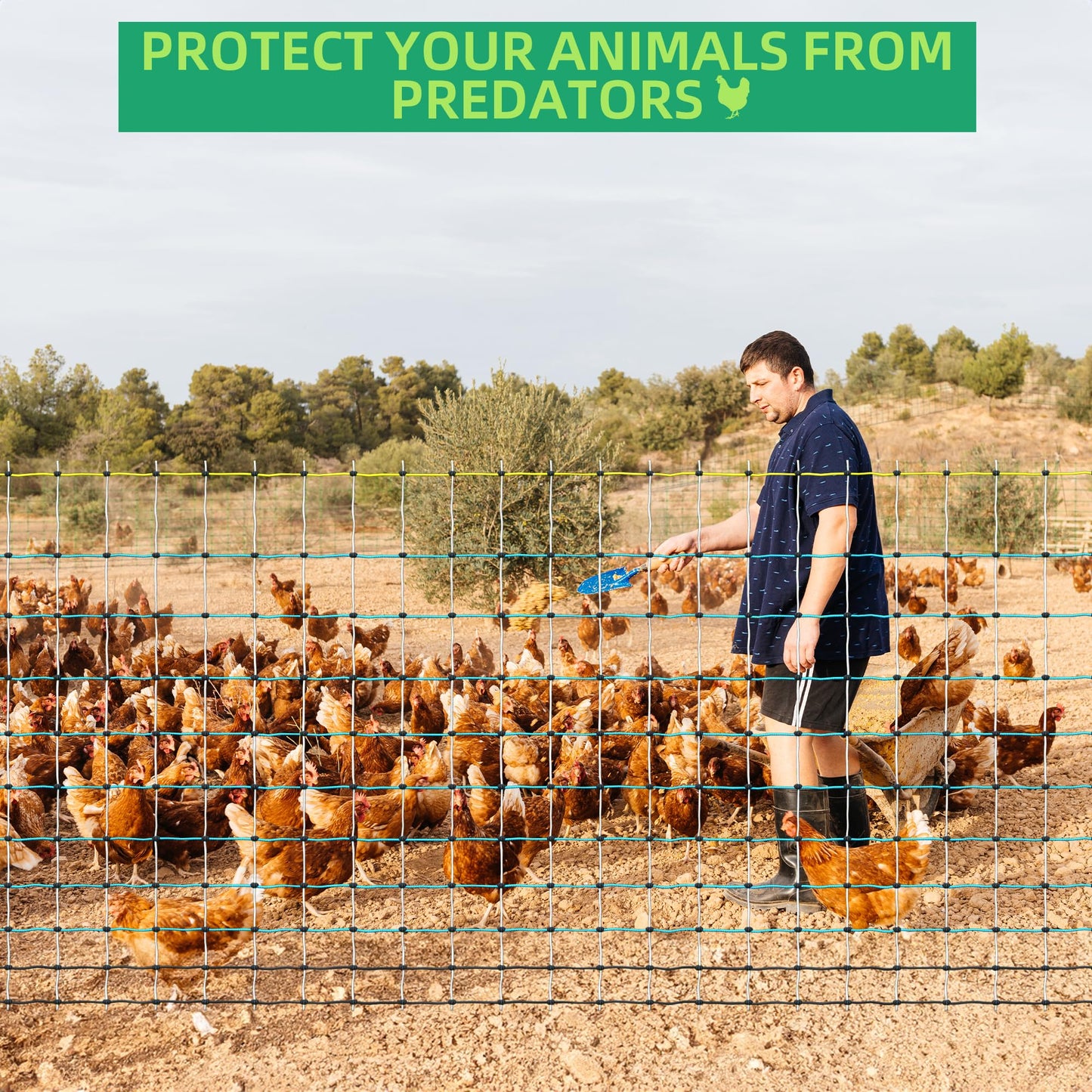 OULUU Poultry Netting Electric Fence - 41.5" H x 164' L, Portable Livestock Nets Mesh for Chickens, Ducks, Geese, Turkey, Electric Fencing for Backyards, Homesteaders, Farms, Ranches, Gardens