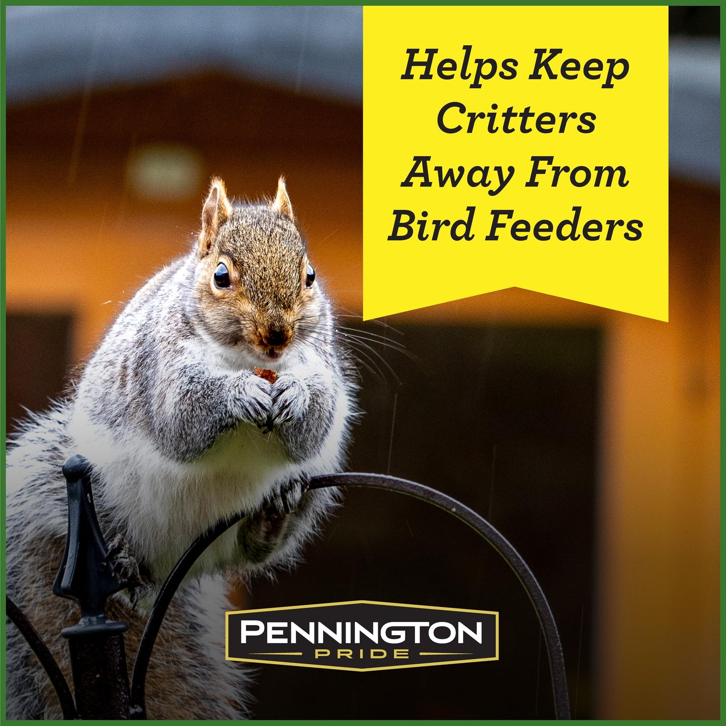 Pennington Pride Squirrel & Critter
