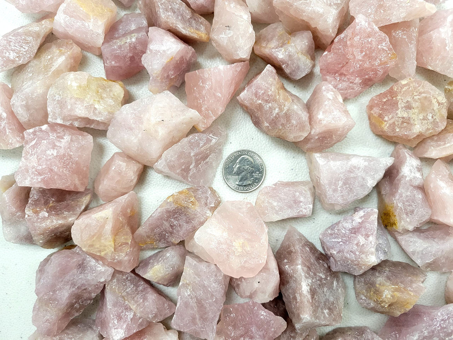 MINERALUNIVERSE 1/2 LB Lavender Rose Quartz Rough Stones - Bulk Crystal Raw Natural & Crystals Fountain Rocks for Tumbling, Polishing, Wire Wrapping, Reiki, Chakra Healing