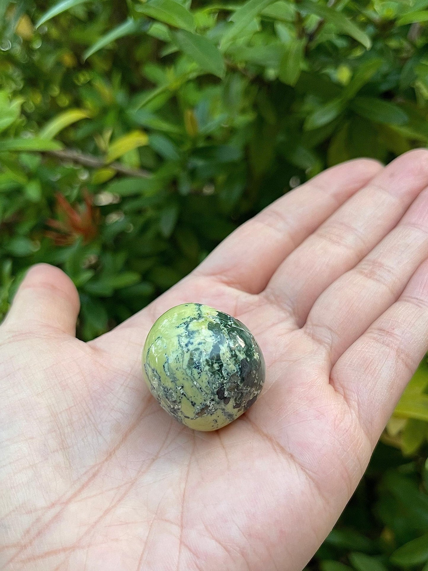 WHOLESALE Serpentine Tumbled Stones, Polished Serpentine Gemstone, Serpentine Polished Rocks (Serpentine, 0.25 Pound)