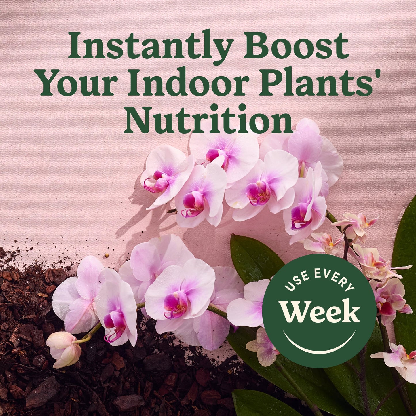 Miracle-Gro Indoor Plant Food Mist for Orchids, Orchid Plant Food, 8 fl. oz., 2-Pack