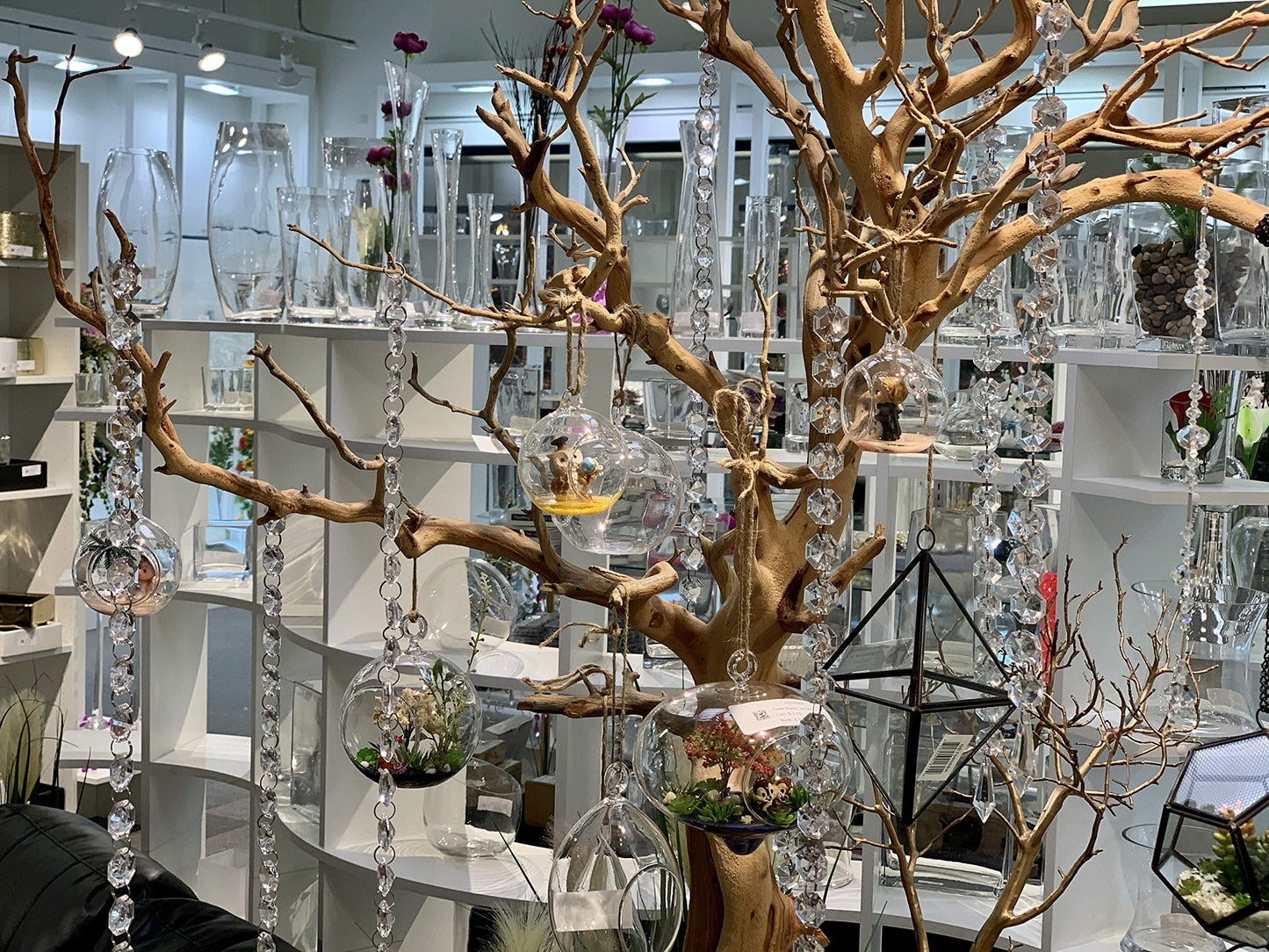 WGV Hanging Terrarium Globe, Width 5", Height 6", DIY Air Succulent Planter, Clear Glass Vase Orb with Flat Bottom, Candle Holder for Windowsill Outdoor Garden Decor, 1 Piece