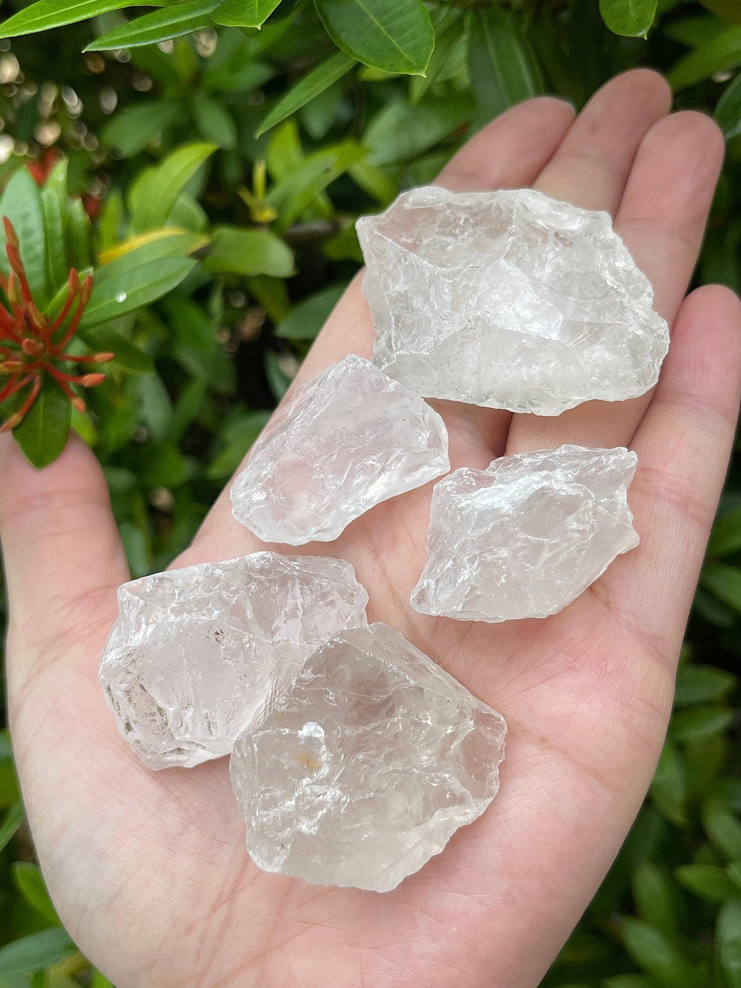 GAF TREASURES Wholesale Raw Clear Quartz Crystals, Natural Clear Quartz Stone, Natural Rough Clear Quartz Crystals, Clear Quartz Rough, Clear Quartz Healing Crystals (Clear Quartz, 0.25 Pound)