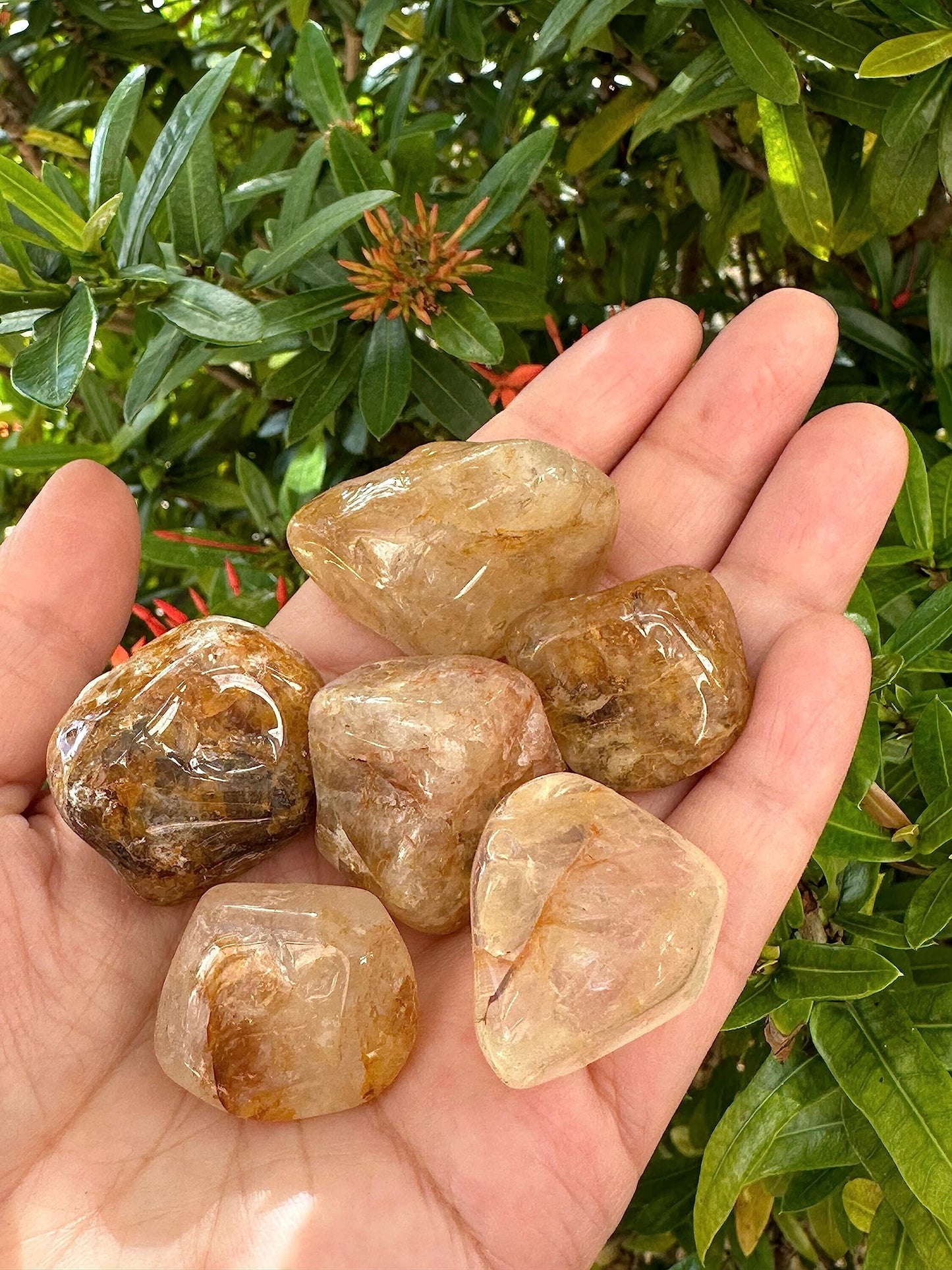 GAF TREASURES 5 Pcs Golden Healer Quartz Tumbled Stones, Polished Natural Golden Healer Quartz Gemstone, Golden Healer Quartz Healing Crystals (Golden Healer Quartz)