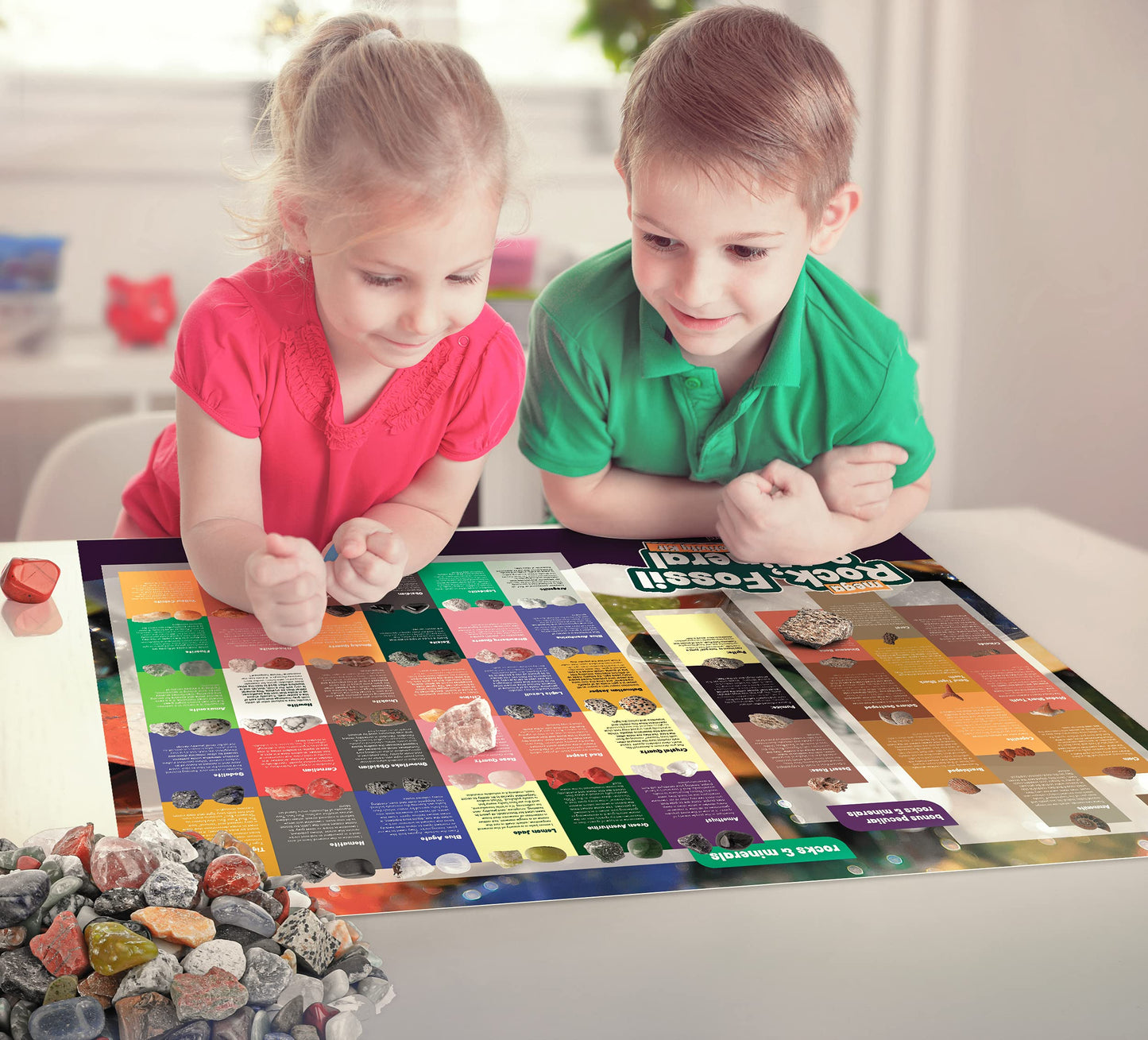 Dan&Darci Rock Collection for Kids - Includes 250+ Bulk Rocks, Gemstones & Crystals + Genuine Fossils and Minerals - 2 Lbs. - Geology Earth Science STEM Toys Activity, Gifts for Boys & Girls Ages 6+