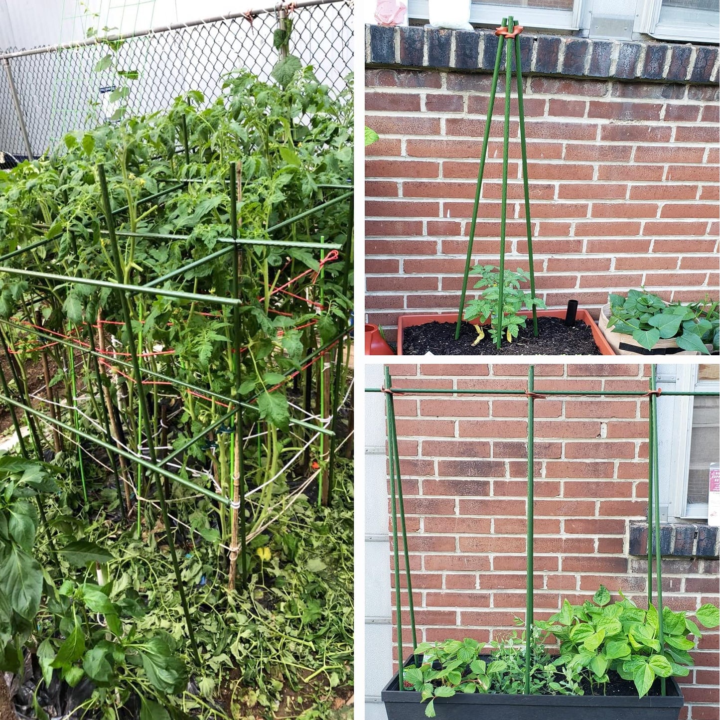 YIDIE Sturdy Metal Garden Stakes 4 Ft Tomato Cage Plastic Coated Steel Plant Sticks for Tomatoes,Trees,Cucumber,Fences,Beans,Pack of 50