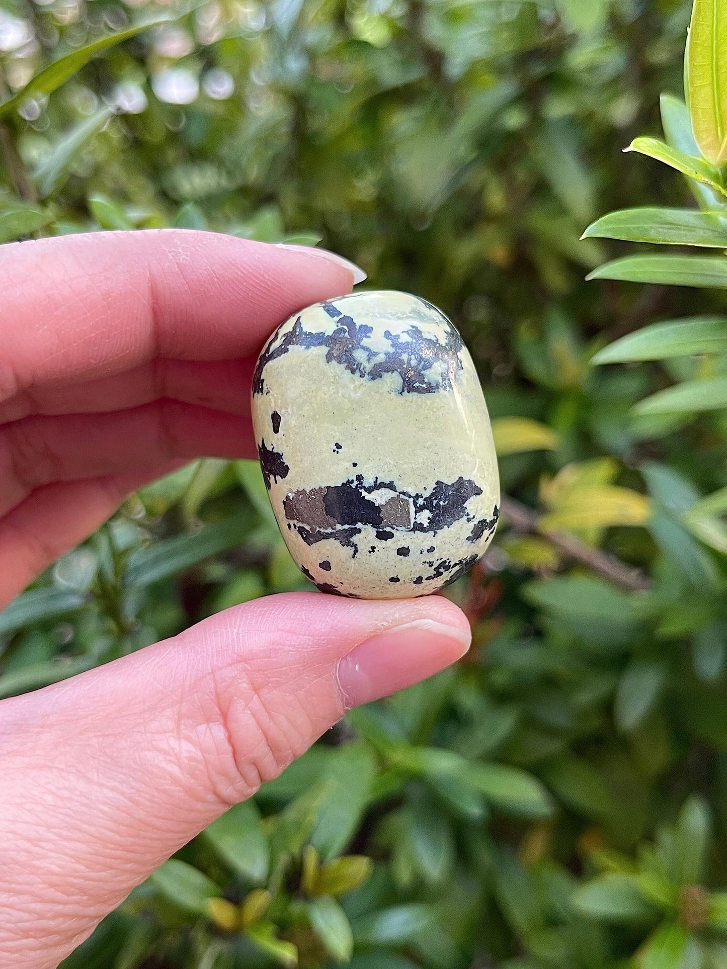 WHOLESALE Serpentine Tumbled Stones, Polished Serpentine Gemstone, Serpentine Polished Rocks (Serpentine, 0.25 Pound)