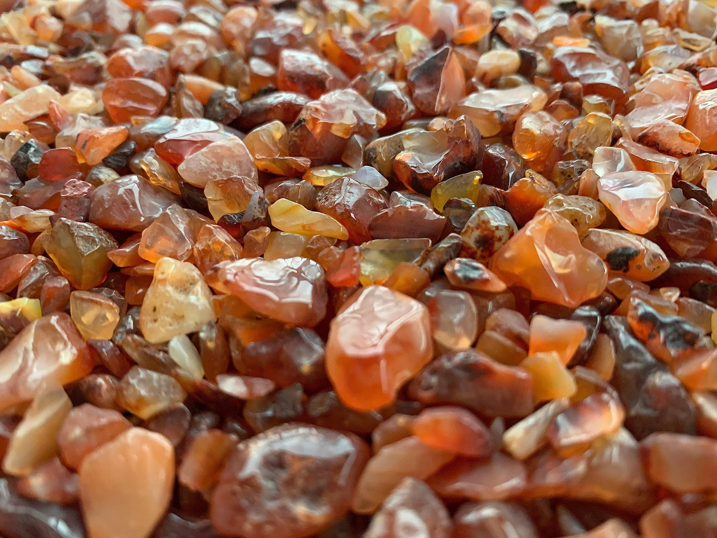 WHOLESALE Natural Semi Tumbled Carnelian Gemstone Chips, Crushed Mini Crystals, Undrilled Crystal Chips (Carnelian, 0.25 Pound)