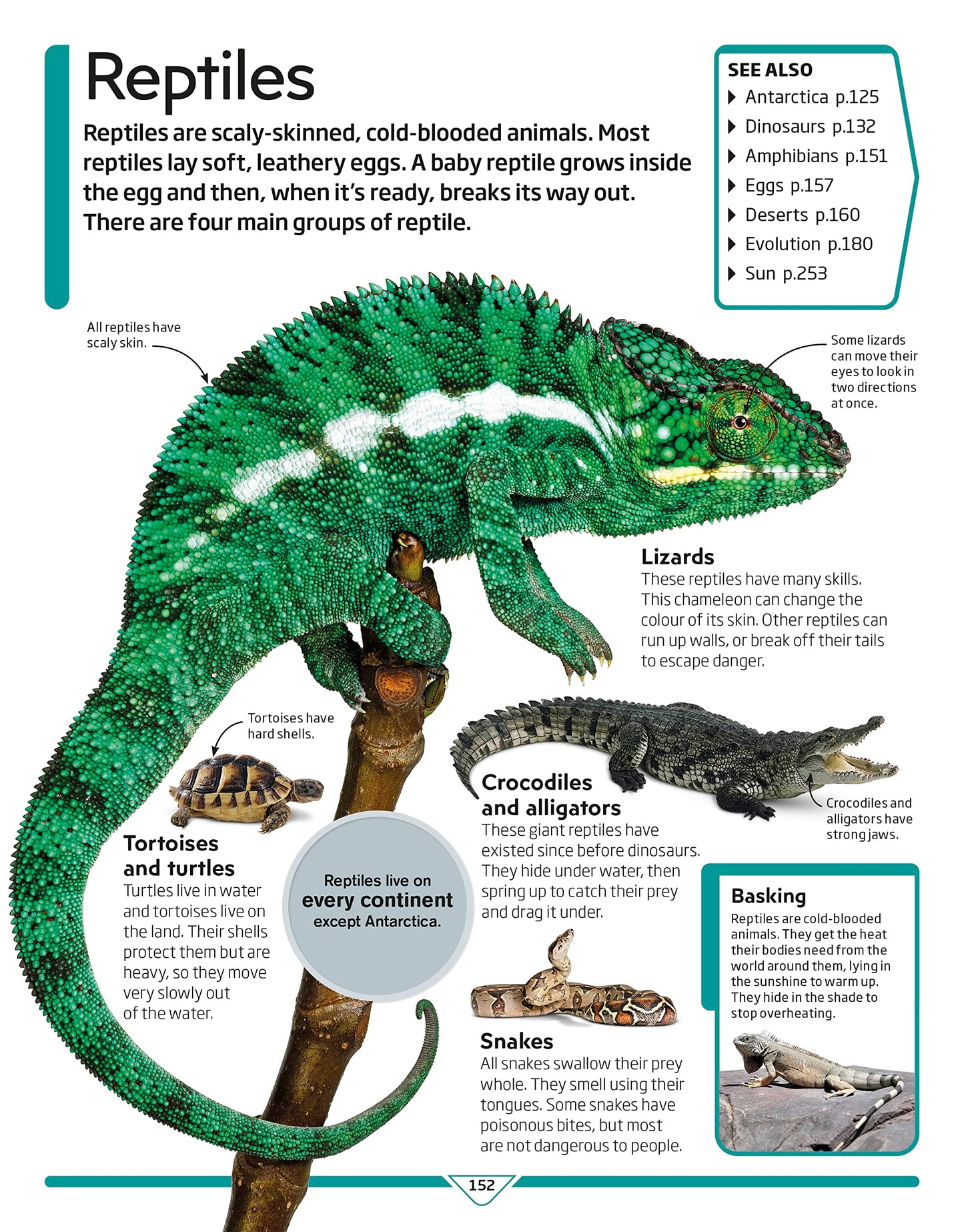 DK Children's Encyclopedia: The Book That Explains Everything! (DK Children's Visual Encyclopedias)