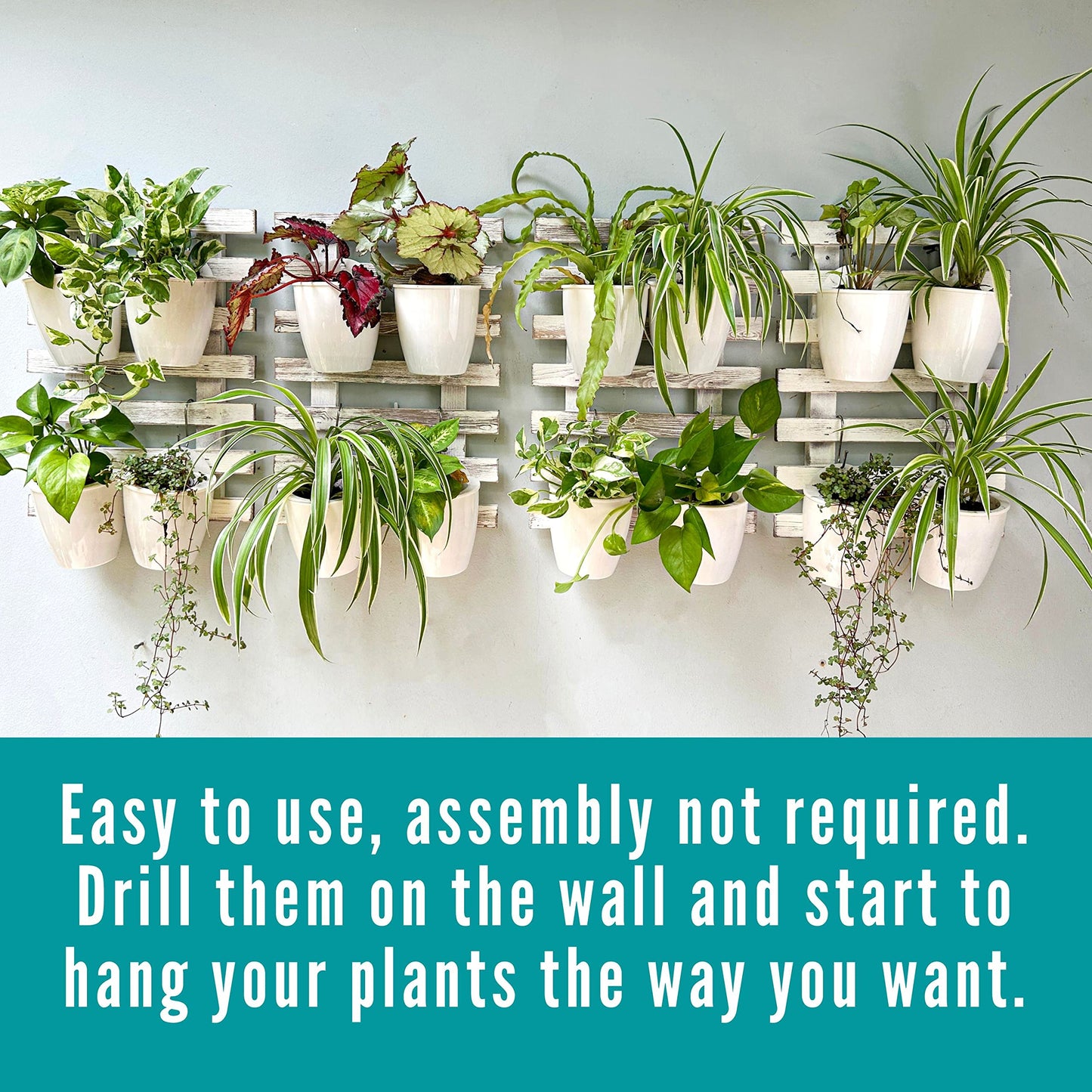 ShopLaLa Bundle- 4" x 10 Pack White Self Watering Plastic Pots + White Wooden Hanging Planters, Vertical Wall Mounted Herb Flower Garden Hydroponic Modern Pot Living Plant Sytem LaLaGreen