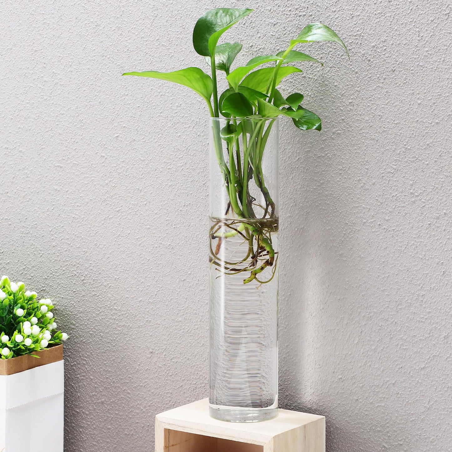 iplusmile 2pcs Large Glass Tube Wall Vases for Hydroponic Plant Propagation, Hanging Glass Terrarium Plants Holder, Modern Wall-Mounted Flower Vases for Indoor Home Décor