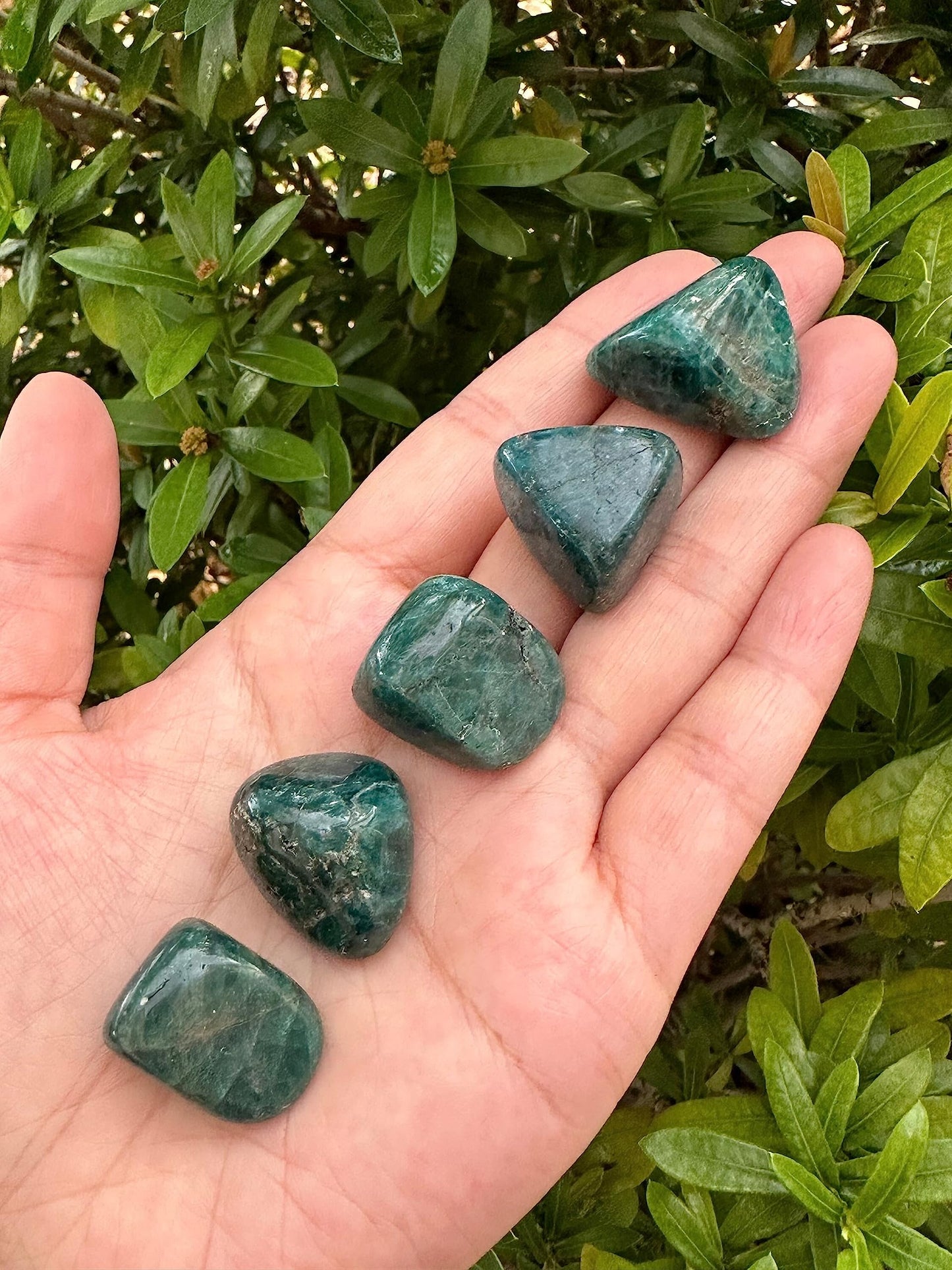 WHOLESALE Apatite Tumbled Stones, Polished Apatite Gemstone, Apatite Polished Rocks (Apatite, 0.25 Pound)