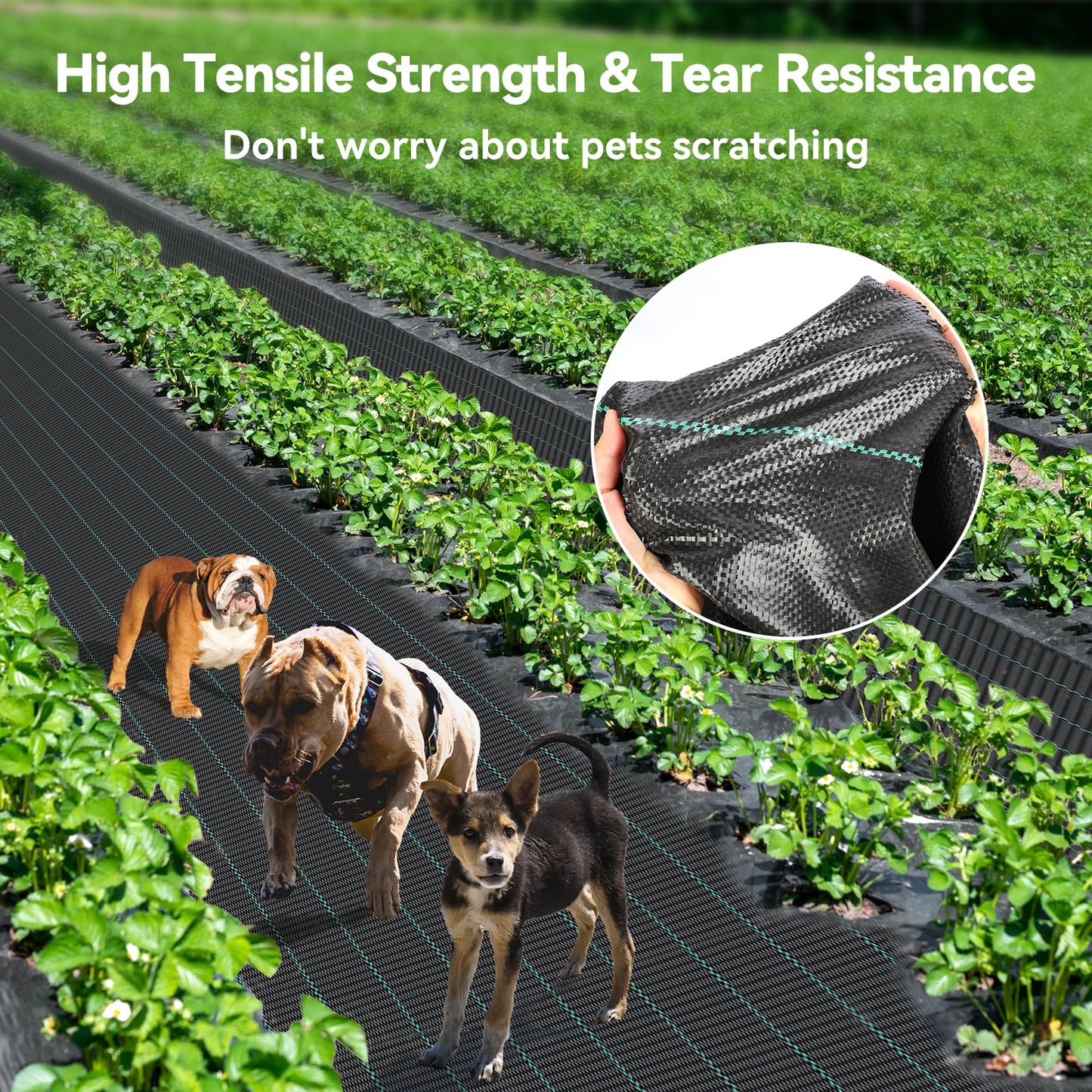 iropro 6ftx300ft Landscape Fabric 3.2oz Weed Barrier Fabric, Woven Weed Barrier Fabric Heavy Duty, Weed Control Cloth Geotextile for Underlayment, Gardening, Commercial Driveway Weed Block Cover Mat