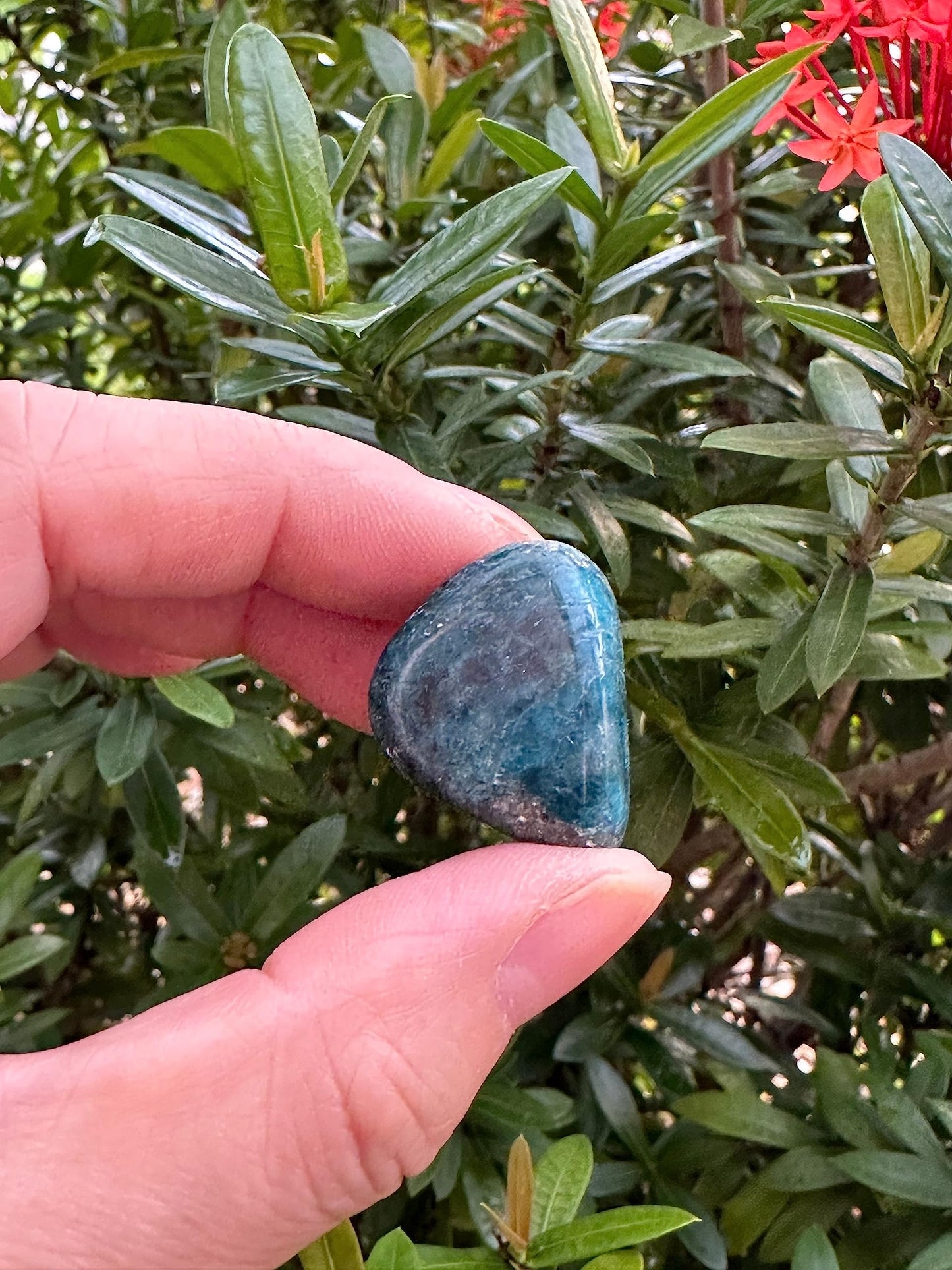 WHOLESALE Apatite Tumbled Stones, Polished Apatite Gemstone, Apatite Polished Rocks (Apatite, 0.25 Pound)