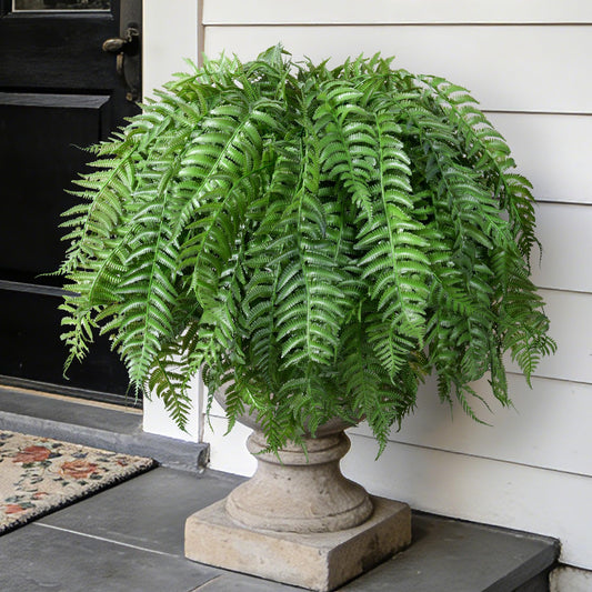 FancyPlus Artificial Plants Outdoor, UV Resistant Fake Fern Faux Plant Greenery for Outside Planter Patio Home Garden Decor 5 Branches (Basket Excluded)