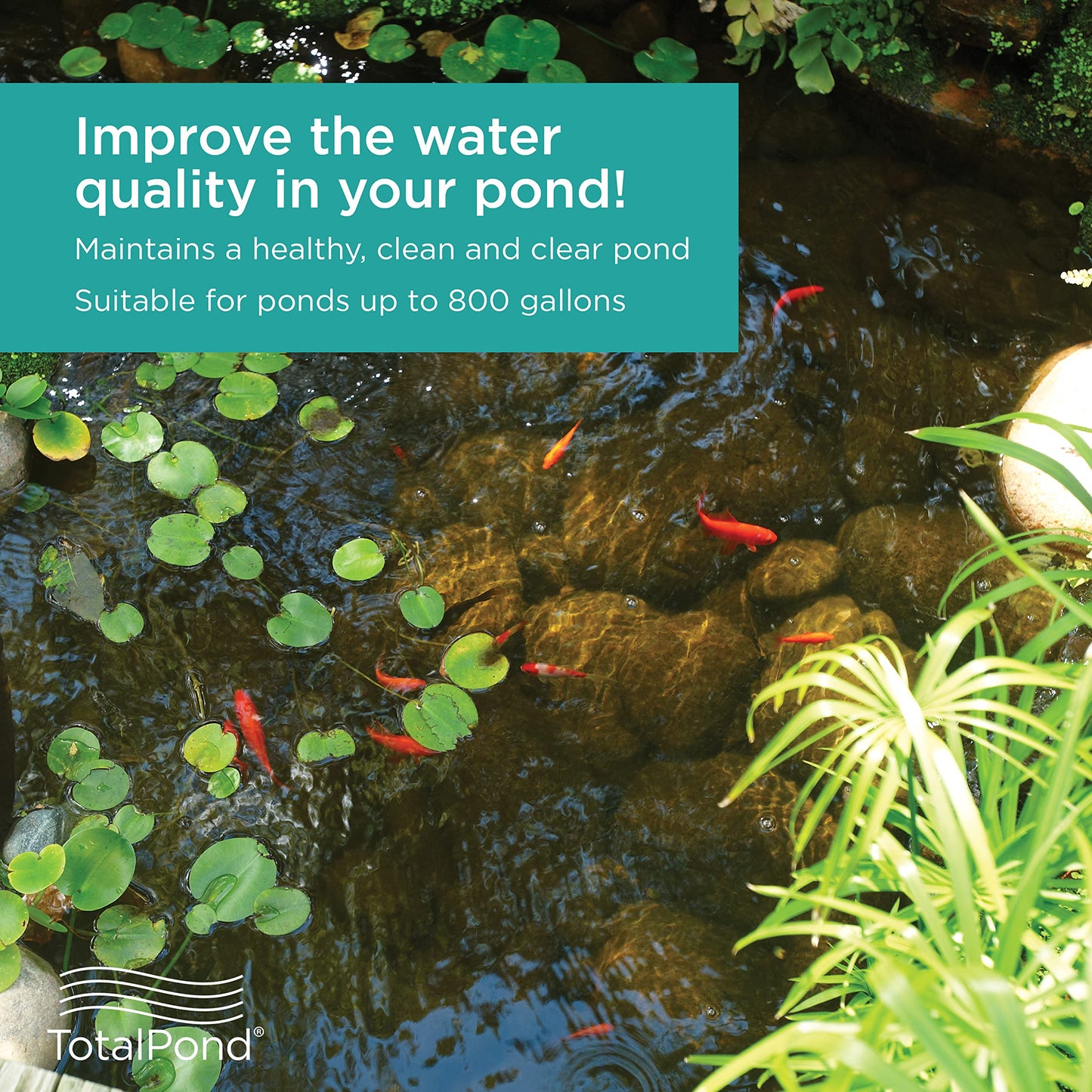 TotalPond Complete Pond Filter with UV Clarifier and Tubing