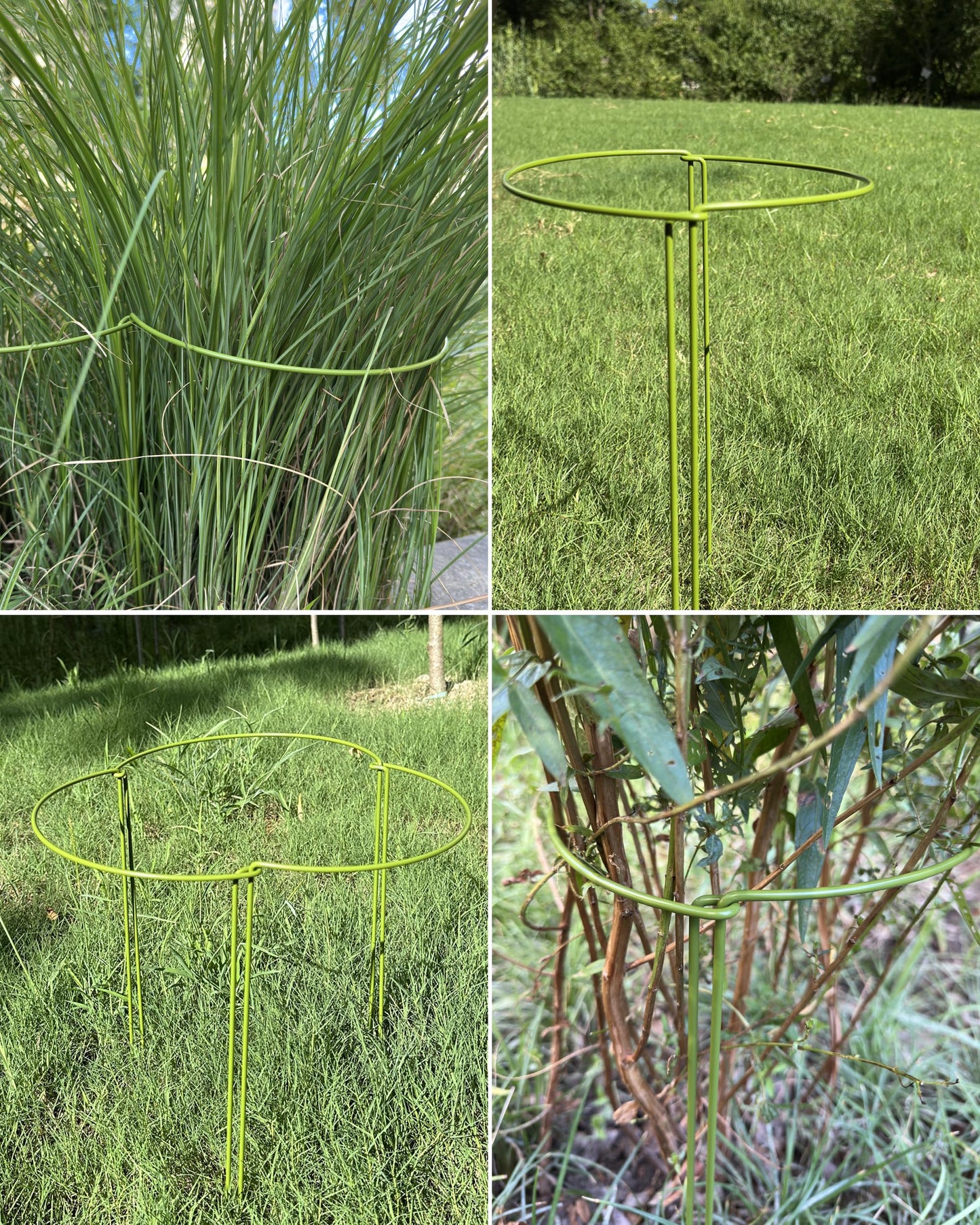 YEOAUM 6-Pack Plant Support Stakes, Steel Stakes for Indoor Plants, Monstera & Peony Support, Tall Plant Sticks for Snake Plant, Climbing Vines, Metal Garden Stakes (10" W x 15.8" H)