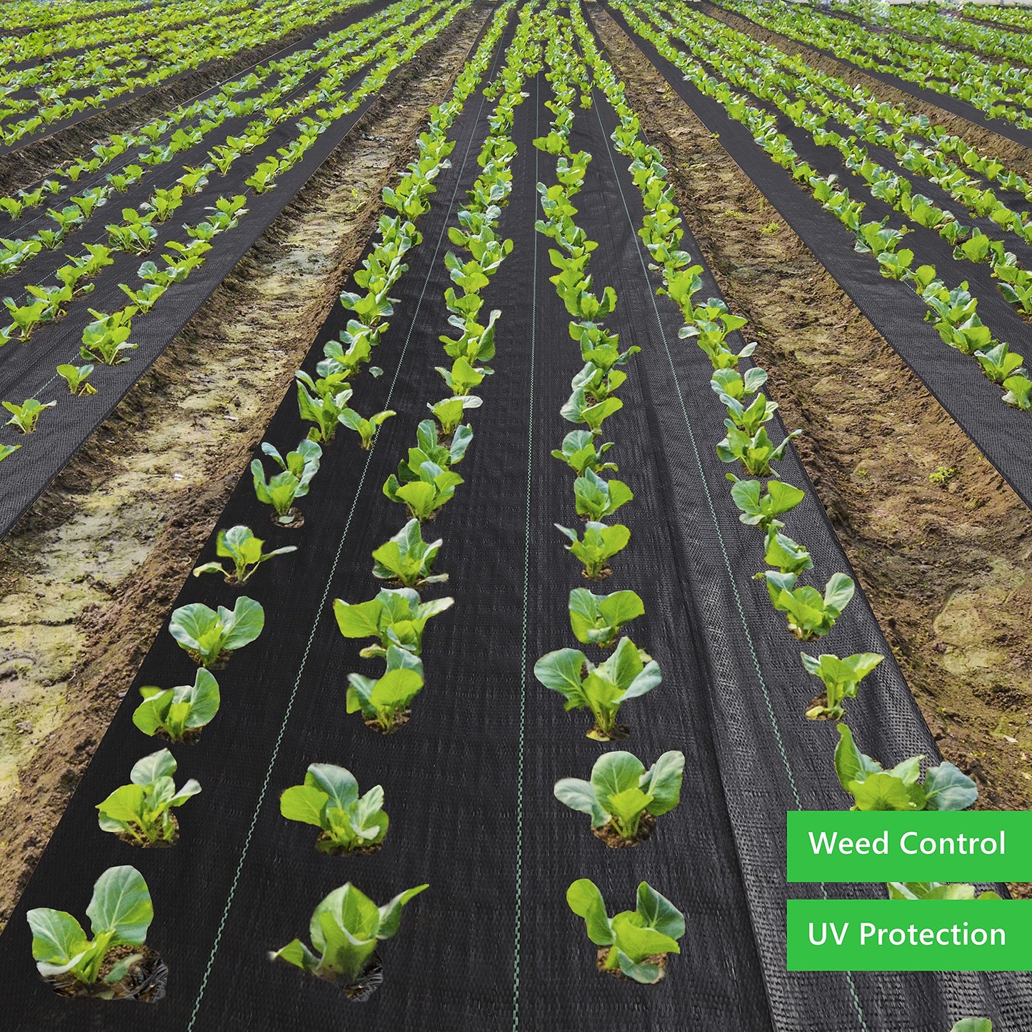 EXTRAEASY Weed Barrier Fabric 3.2oz Heavy Duty - 3ft x 100ft Landscape Fabric | Easy Install & Rugged Plastic Ground Cover Weed Barrier with UV Protection for Gardens, Landscaping Fabric