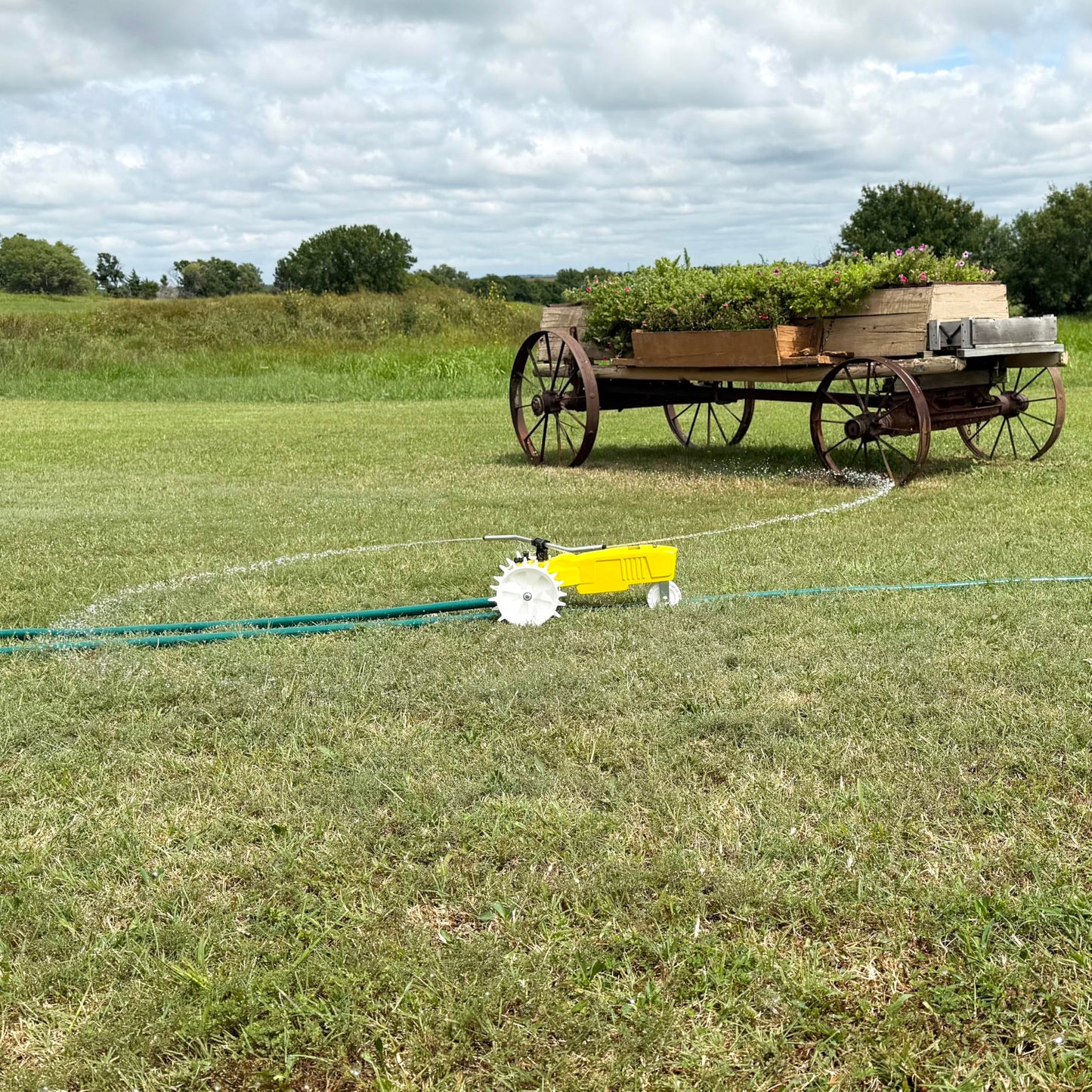 Nelson Rain Train 13,500 Square Feet Cast Iron Outdoor Lawn Traveling Water Sprinkler for Yard, and Garden, with Auto Shut Off, Yellow