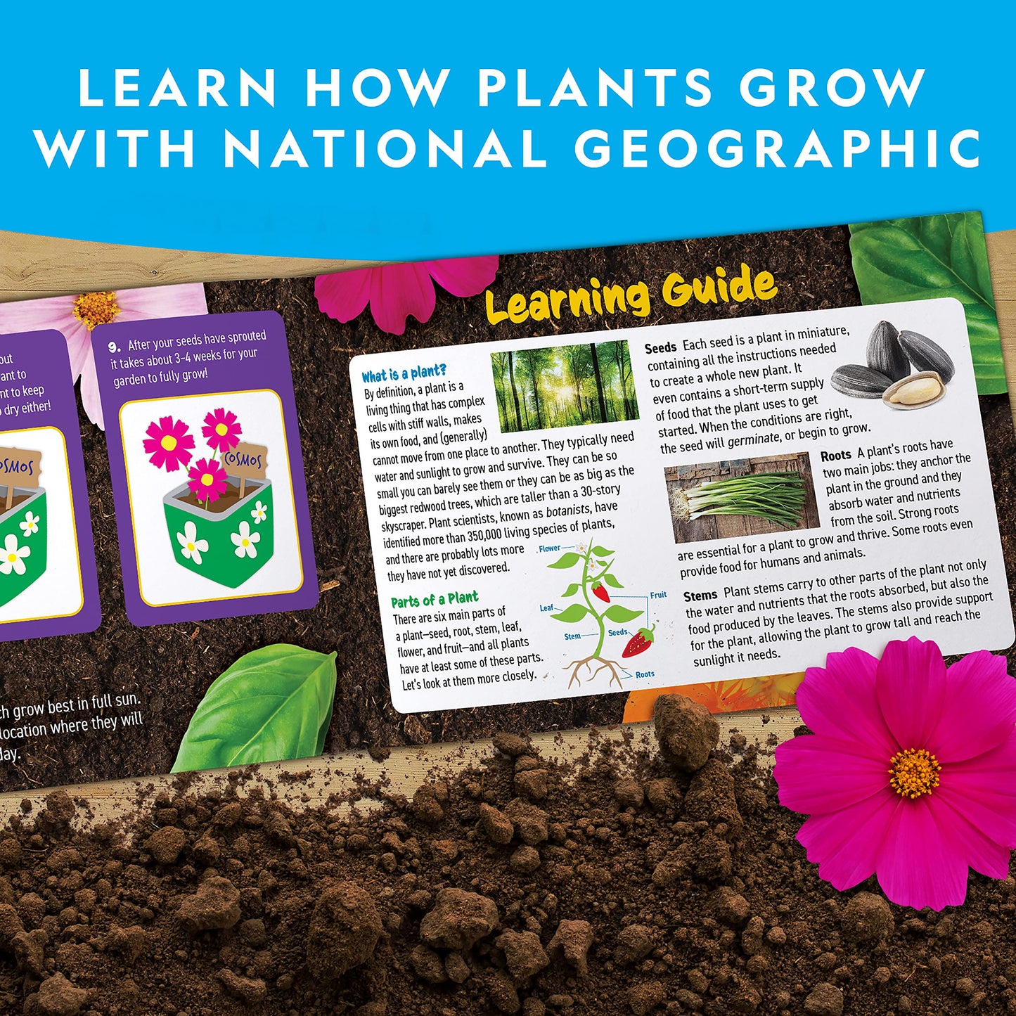 National Geographic Flower & Herb Gardening Kit for Kids - Gardening Set with 3 Stainless Steel Pots, Paint & Stickers, Kids Plant Growing Kit